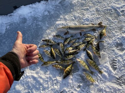 Majority of the Ice Belt has called it an end for the ice fishing season  and we can't thank everyone enough for another season of suppo